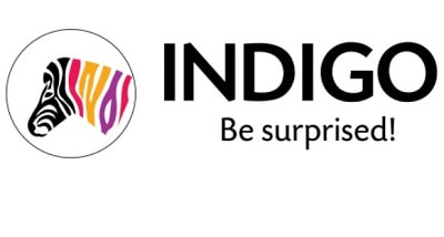 Indigo paints ipo